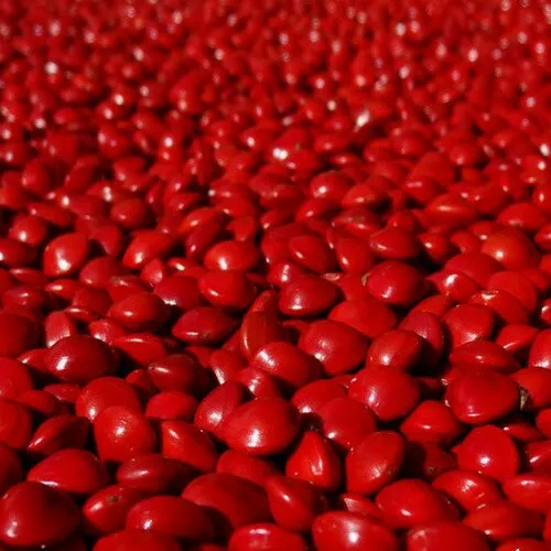 50 grammes de graines rouges non percées, récoltées à madagascar