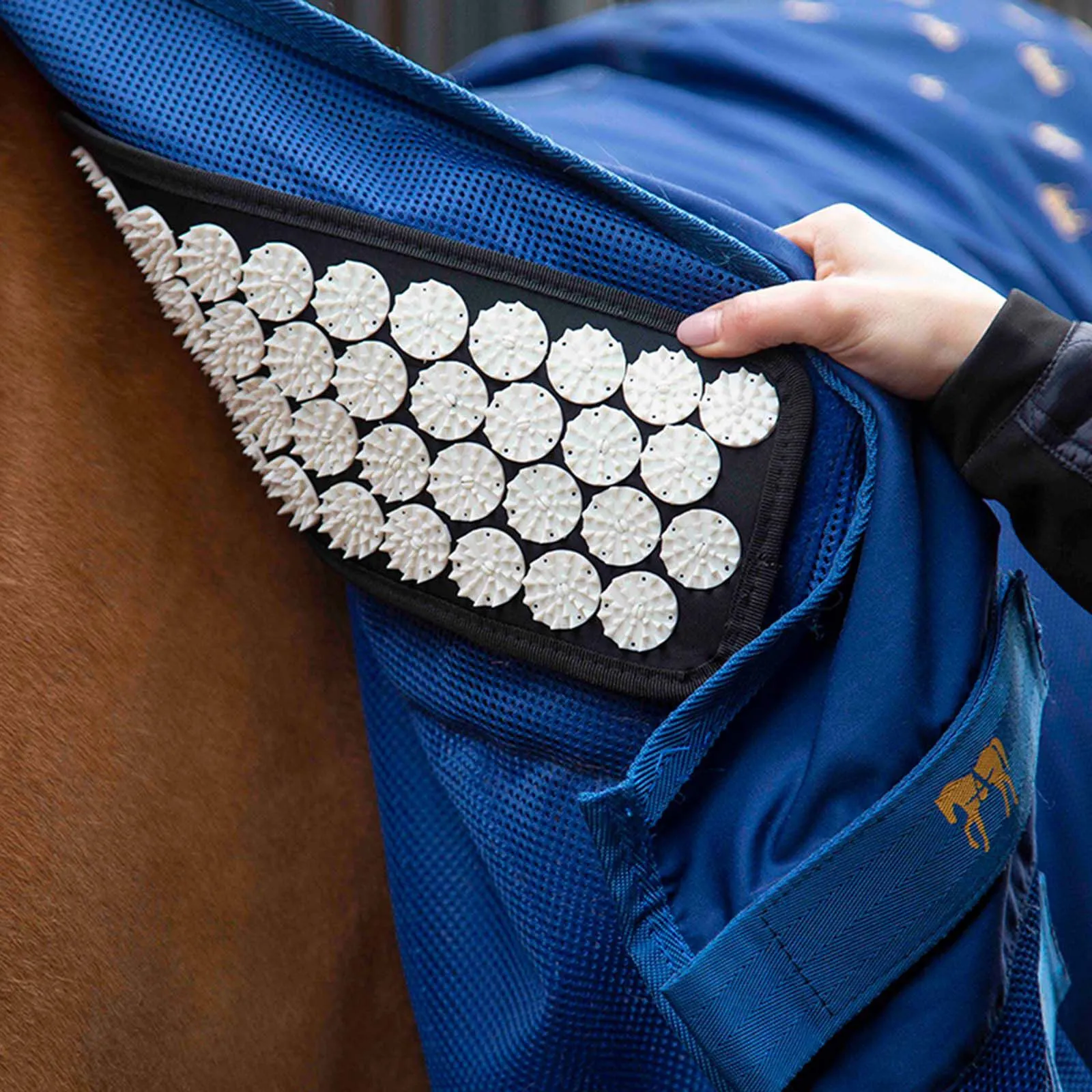Accuhorsemat Couverture d'acupression Cooler