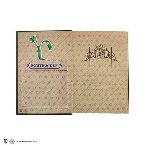Carnet rigide et marque-page Norbert Dragonneau - Les Animaux Fantastiques