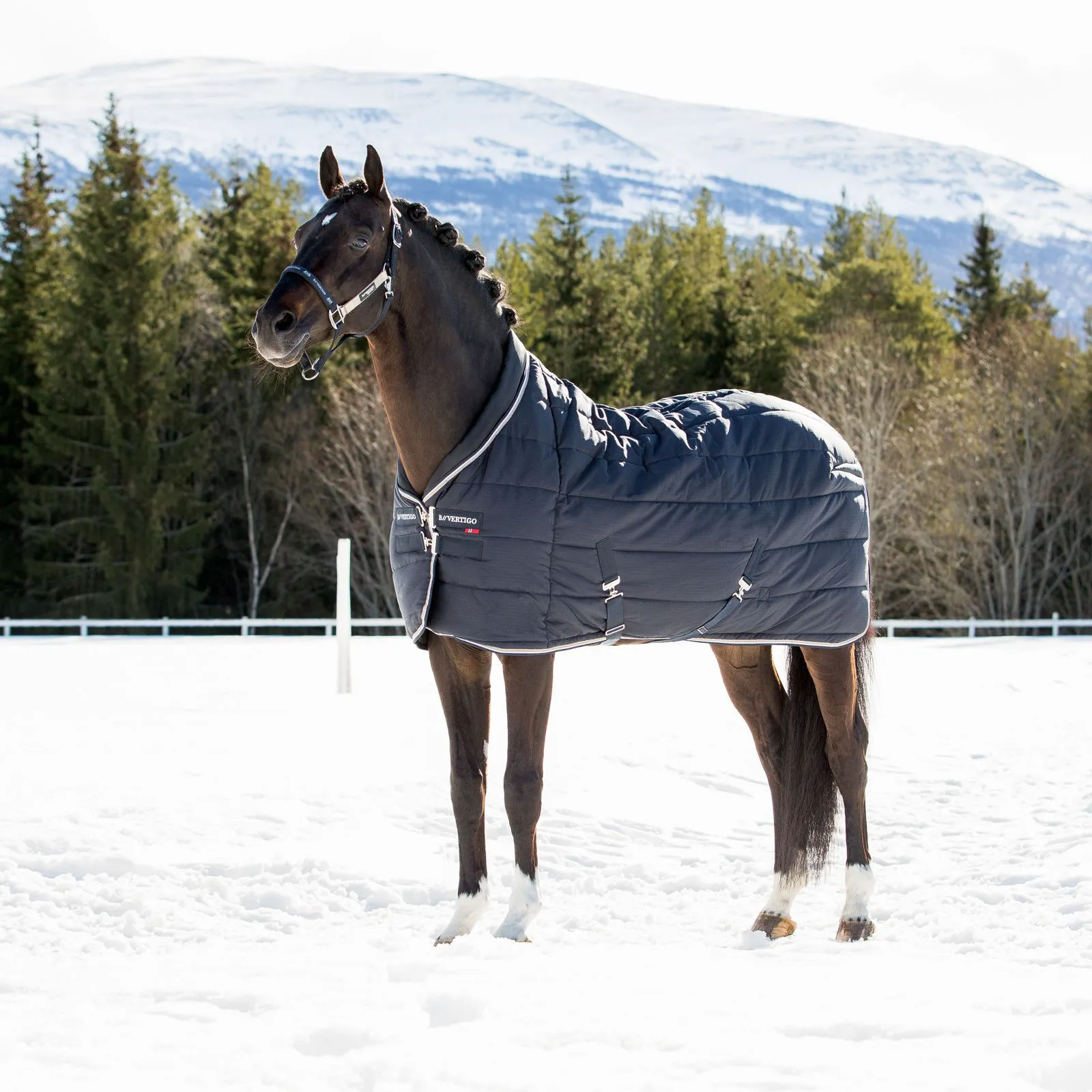 Couverture d'écurie Tim B Vertigo 400g pour cheval