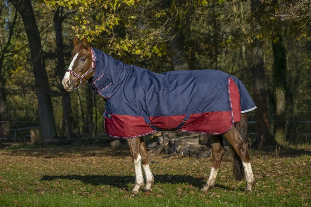 Couverture Equi-Theme Tyrex 1200 D Combo pour cheval