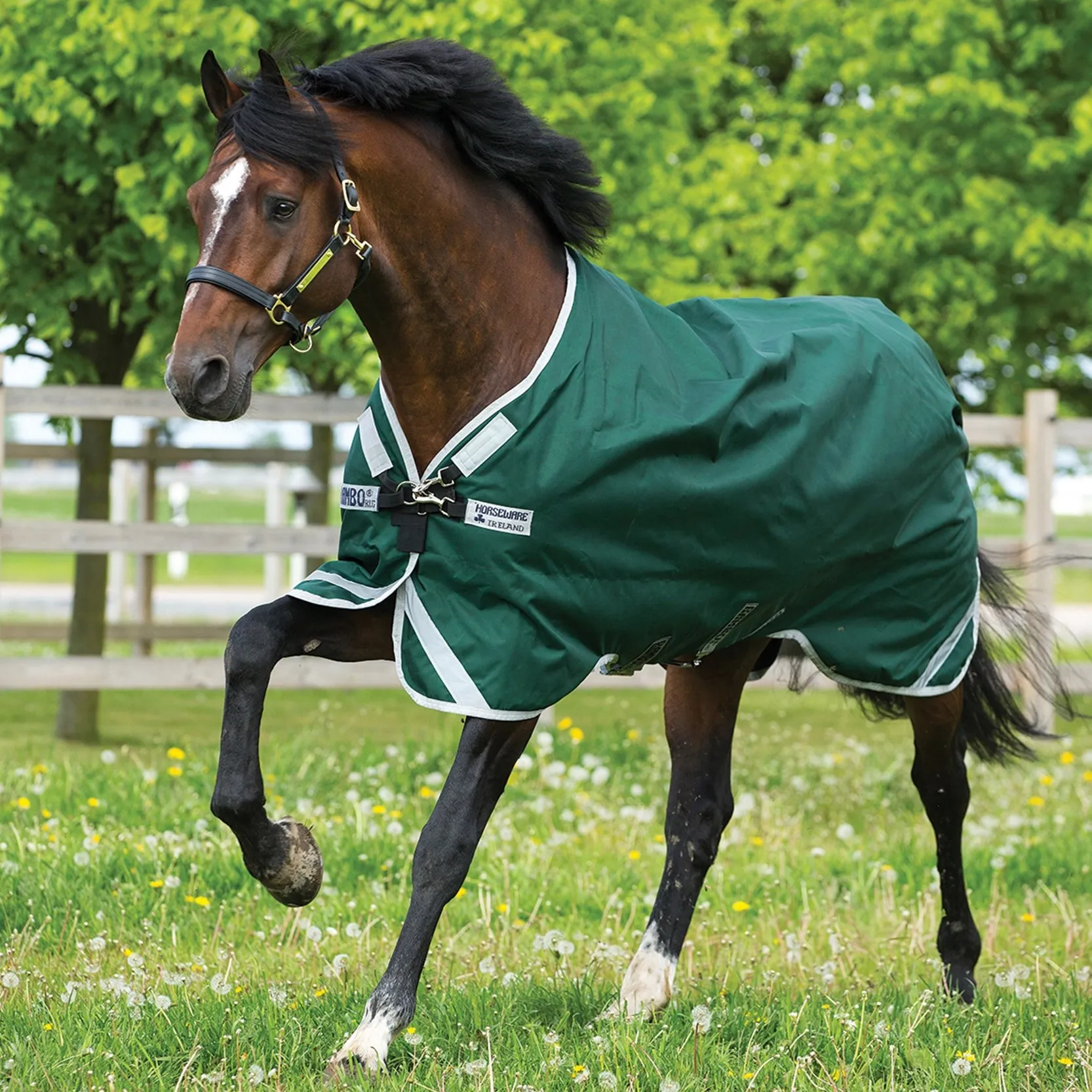 Couverture Horseware Rambo Original 0g - Leg Arches
