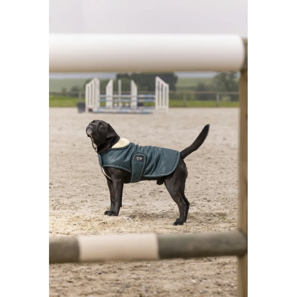 Couverture pour chien Diego & Louna Teddy - COUVERTURES - PADD