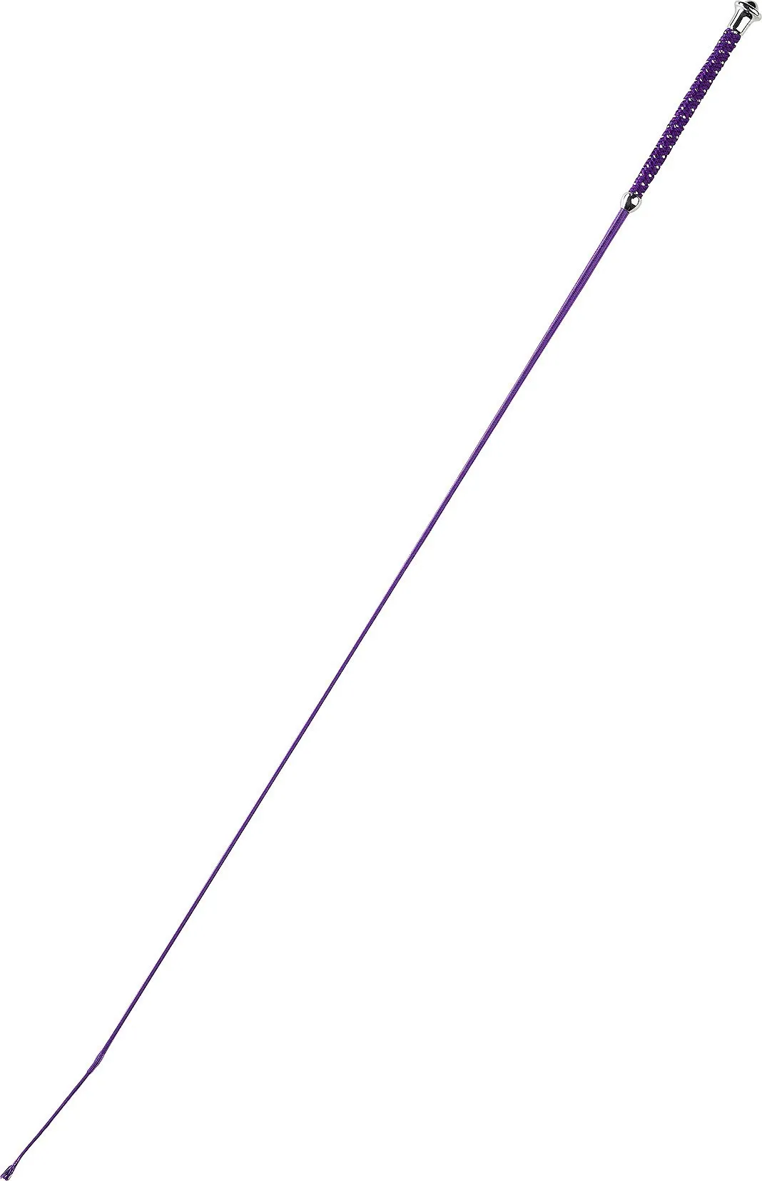 Cravache de dressage Whip & Go Points pour Cavalier