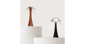 Lampe de bureau portable