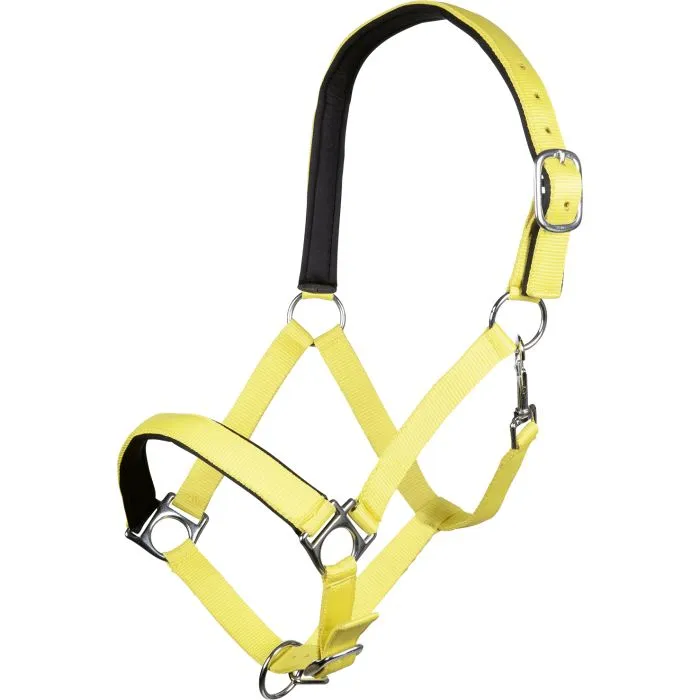 Licol HKM Stars Soft