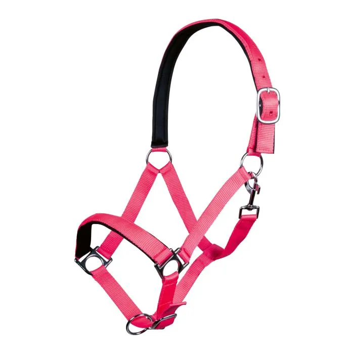 Licol HKM Stars Soft