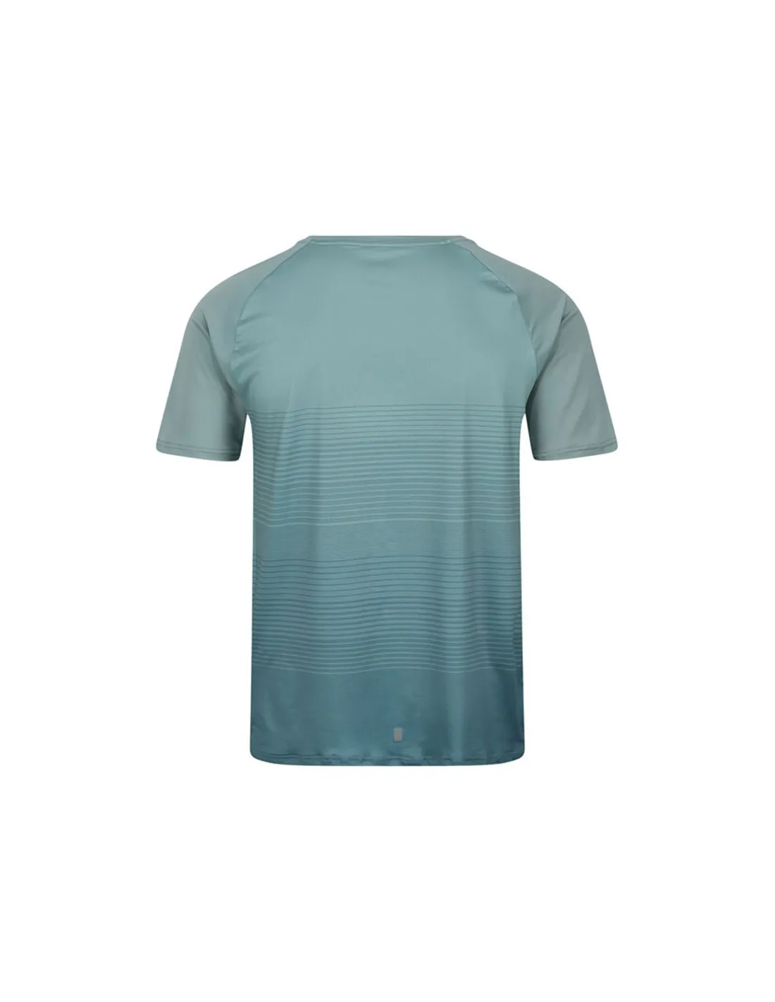 Mountain T-Shirt Regatta Pinmor Ivy Moss Man