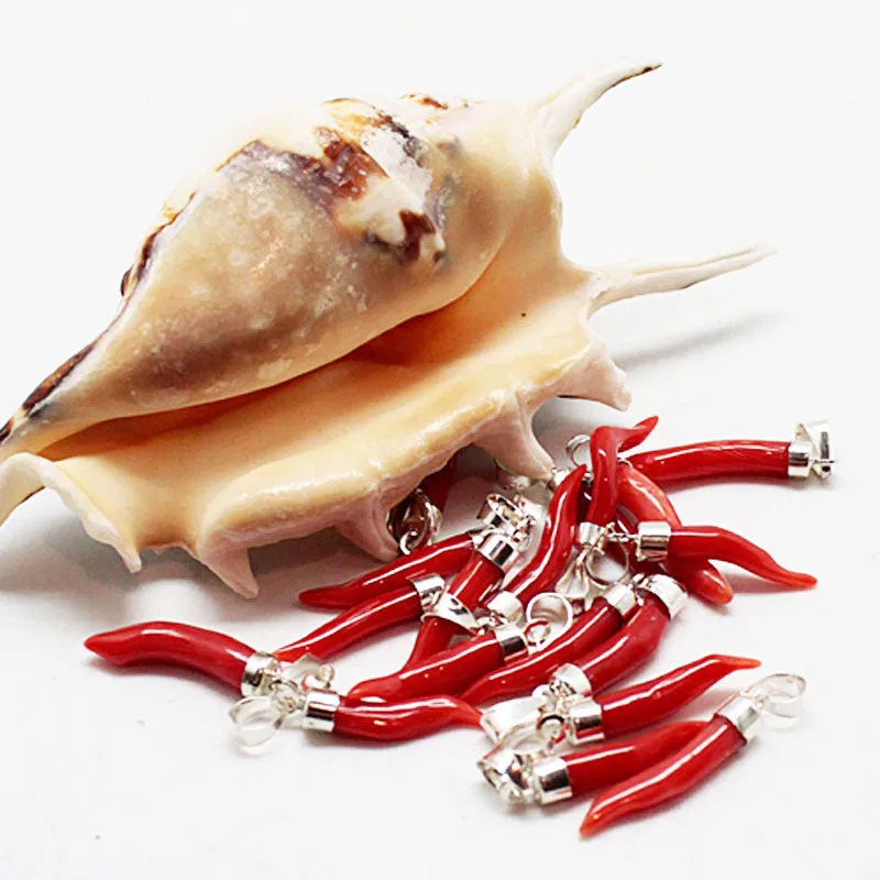 Pendentif corne corail argent