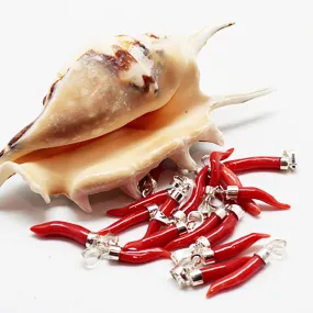 Pendentif corne corail argent