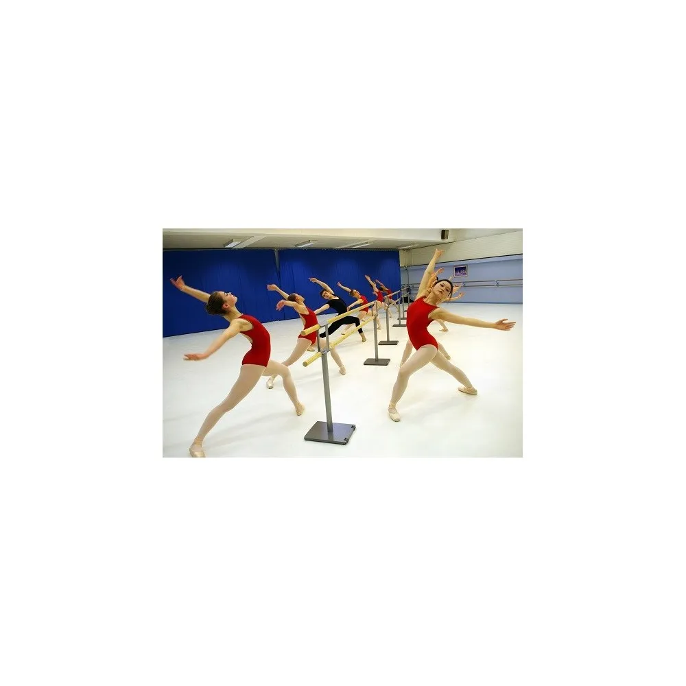 PINA - Double barre de danse mobile avec Roulettes Dinamica ballet - FAME LaMaisonDeLaDanse